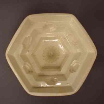 Food Mold
