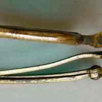 Spectacles - Image 4