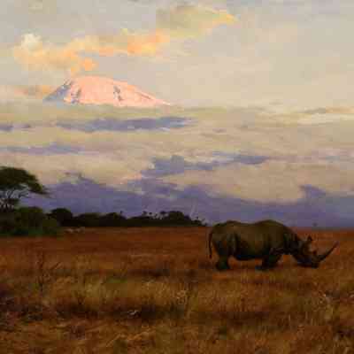The First Ray of Sun, Kilamanjaro- Rhinoceros