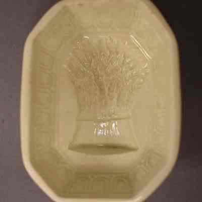 Food Mold