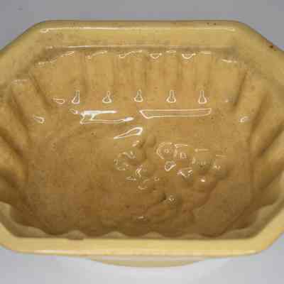 Food Mold