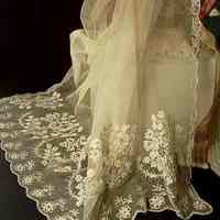 Veil - Image 2