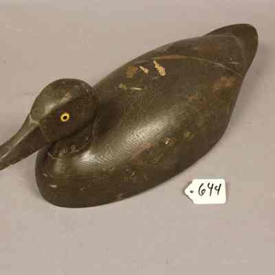 Hollow Black Duck