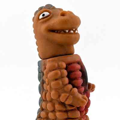 Pheborus
