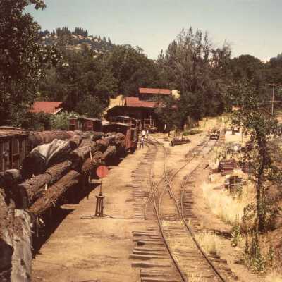 North yard, color photo