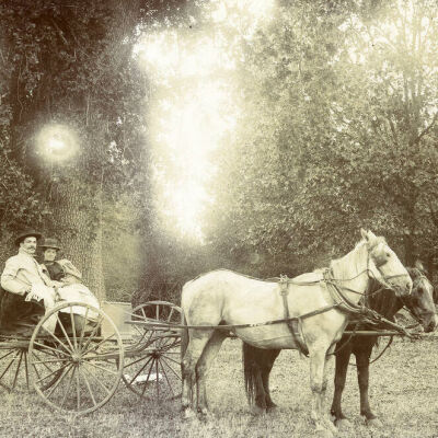 Couple in Horse and Buggy