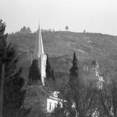 Sonora Scene