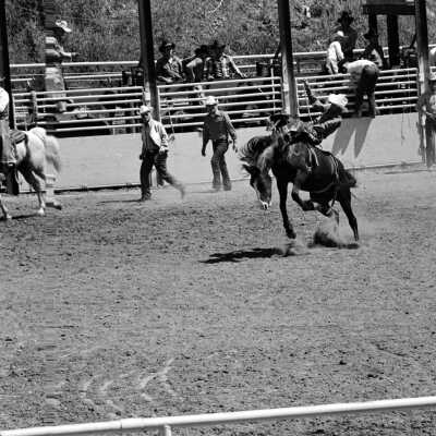 Mother Lode Roundup Rodeo