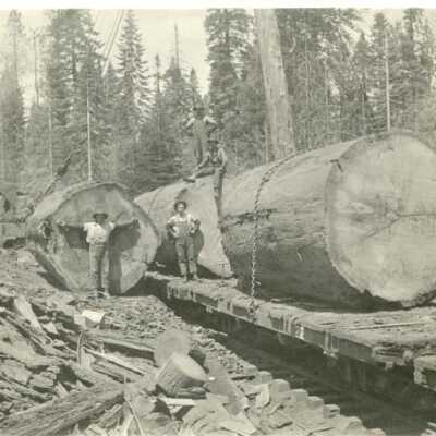 West Side Lumber Co Landing
