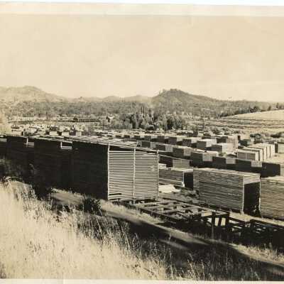 Lumber drying in yard of West Side Lumber Co.