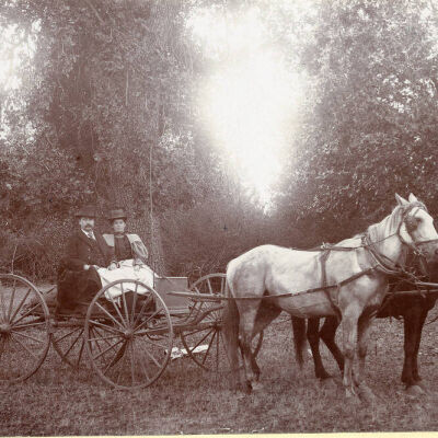Two unidentified persons in a horse and buggy
