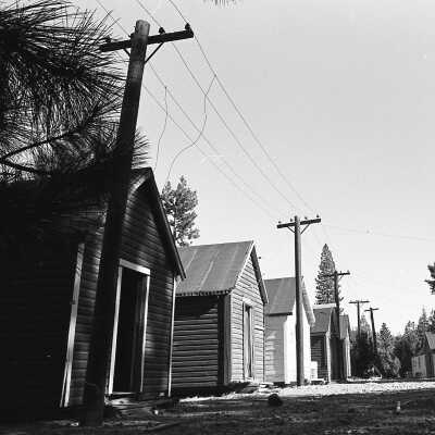 Soap Creek Logging Camp