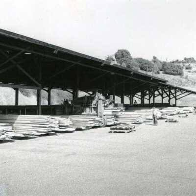 Drying sheds at Standard