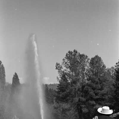 Fireman's Muster