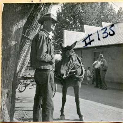 Man & Mule