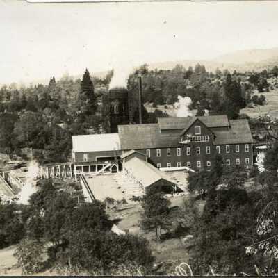 Standard Sawmill