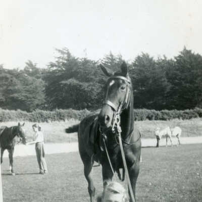Young Lady Leading A Horse