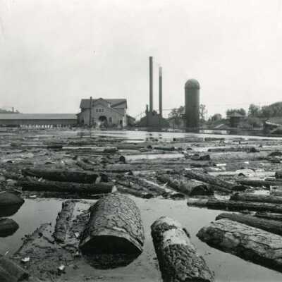 Log jam at the old mill pond