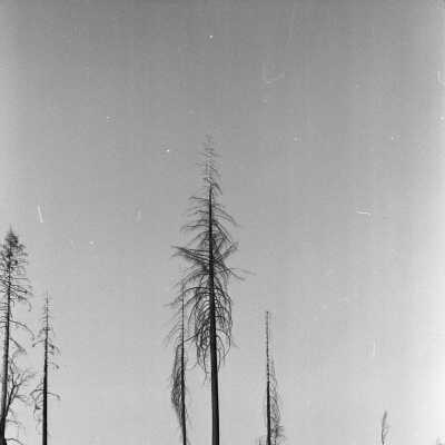 Granite Burn
