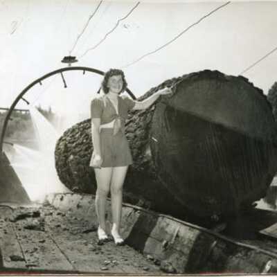Unidentified Young Lady