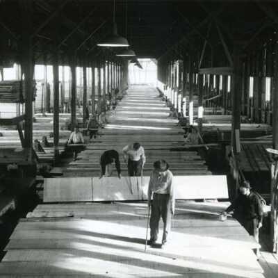 Workers grading lumber