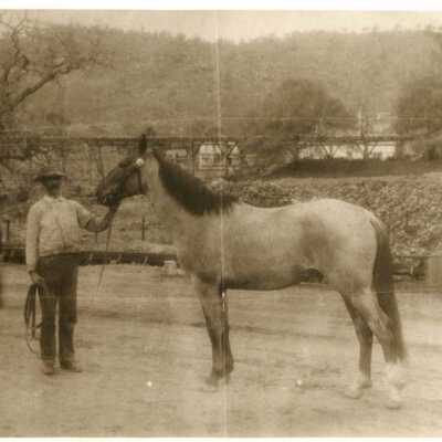 Unidentified Man & horse