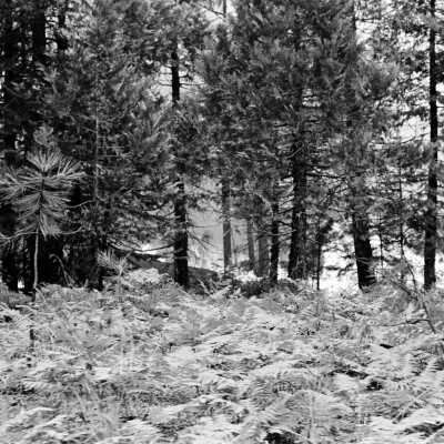 Granite Fire 1973