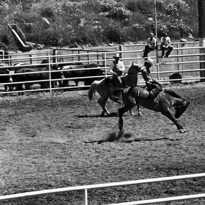 Mother Lode Roundup Rodeo