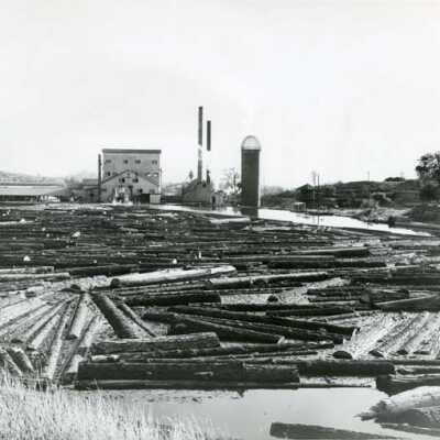 Mill Pond