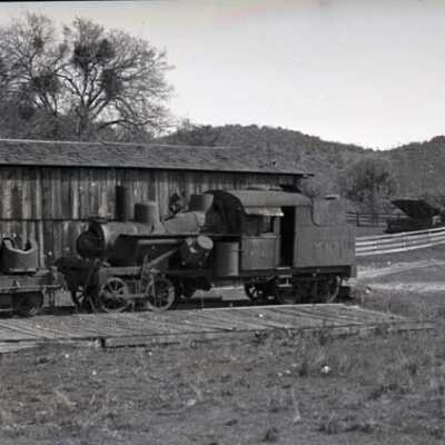 Heisler Train Engine