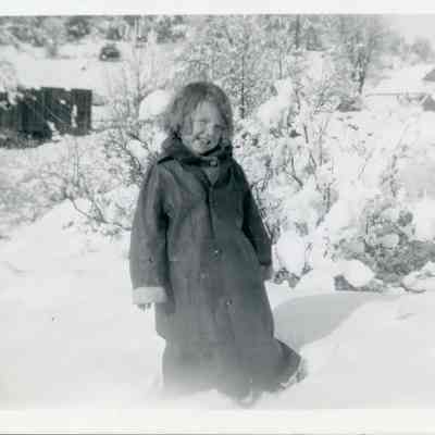 Snow Scenes at Browns Flat