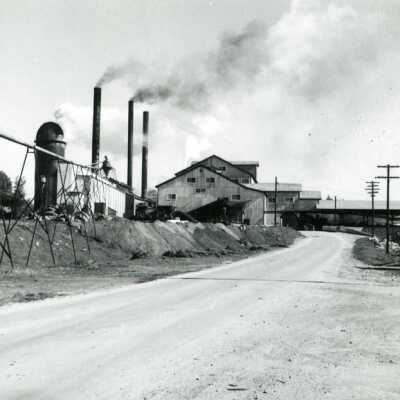 Standard Lumber Mill