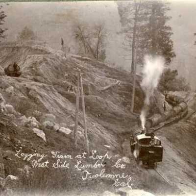 Logging Train at Loop