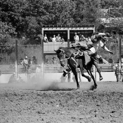 Mother Lode Roundup Rodeo