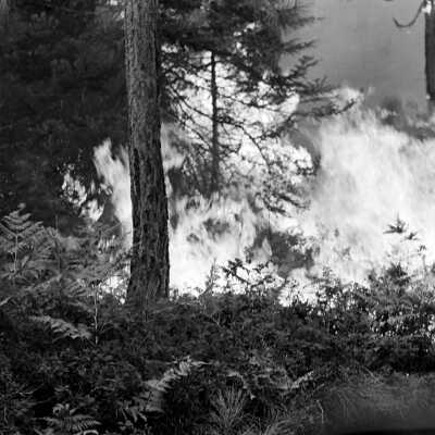 Granite Fire 1973