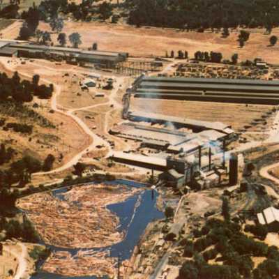 Aerial view of Standard Lumber Company