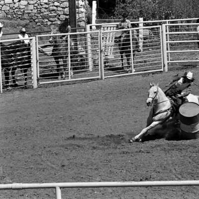 Mother Lode Roundup Rodeo