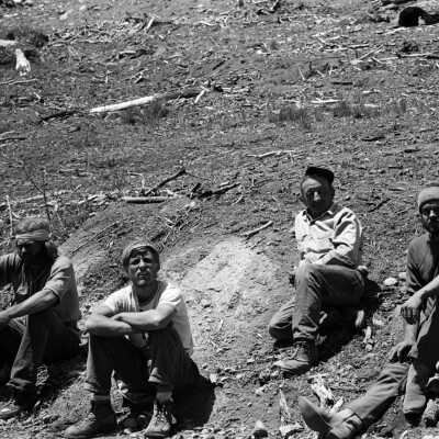 Tree Planters, Granite Fire area