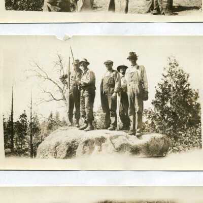 Rattle snakes, hazard for lumberjacks