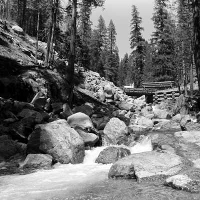 Reed Creek Log bridge, over Reed Creek, Stanislaus National Forest
