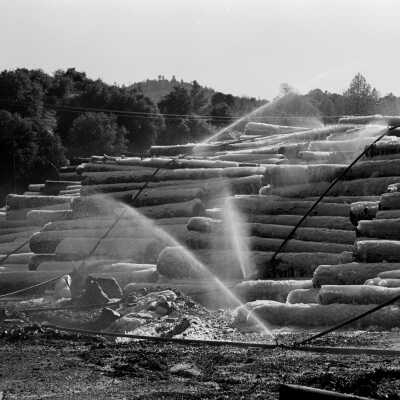 Log Deck, Pickering Lumber Company