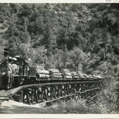 Log Train At River Bridge