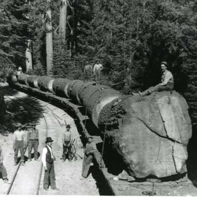 West Side log Train