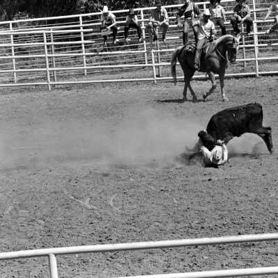 Mother Lode Roundup Rodeo