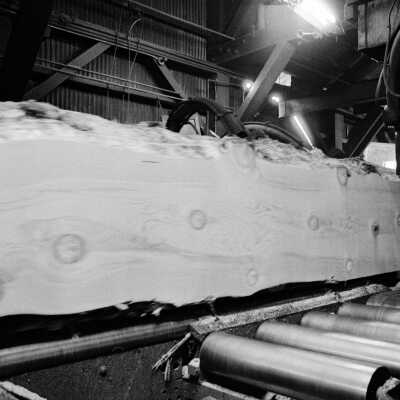 Louisiana-Pacific Saw Mill. Large Sugar Pine going passing through the band saw.