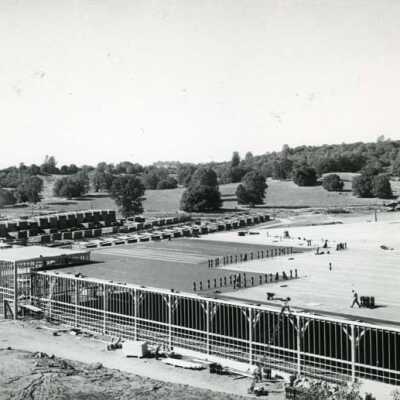 New drying sheds under construction at Standard