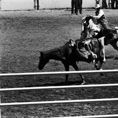 Mother Lode Roundup Rodeo