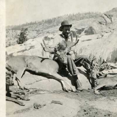 Man With Two Deer
