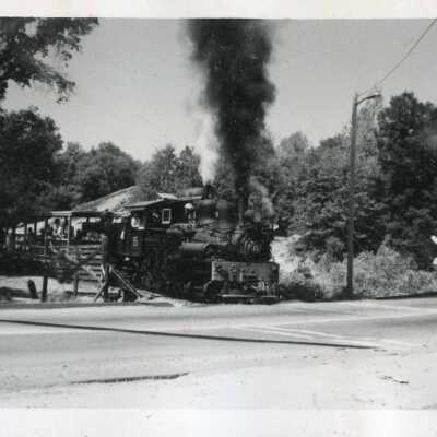 Train - Shay #15 - crossing cattle guard Tuolumne Rd