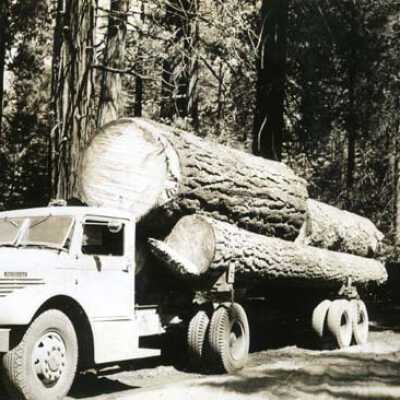 Mack truck hauling logs out of the forest